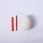 Dinosaur Fossil Dig Kit egg shown whole before digging